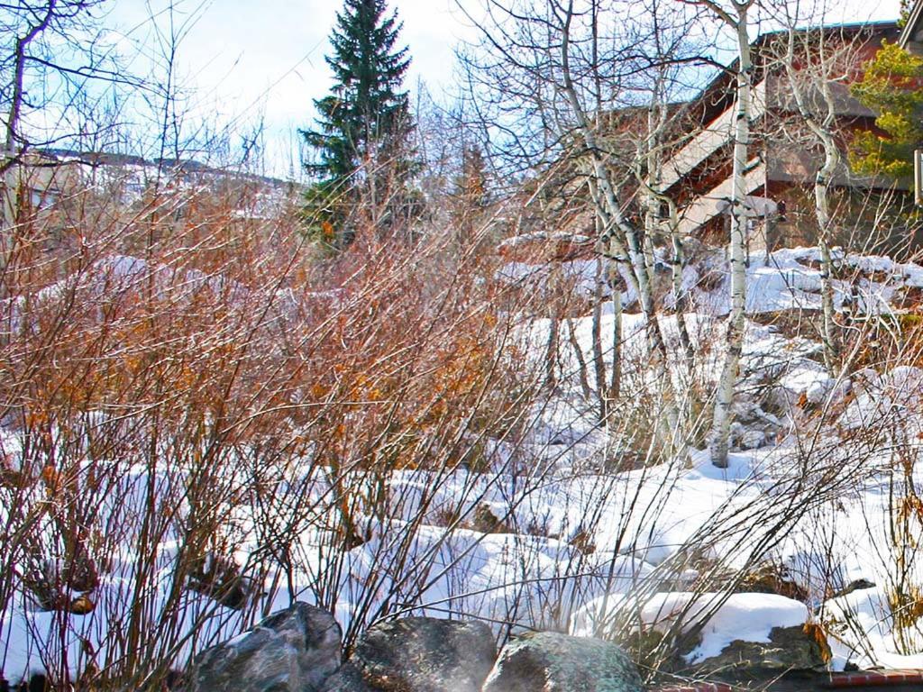 Appartement Terracehouse By Snowmass Vacations à Snowmass Village Extérieur photo